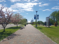 waterfront park sidewalk