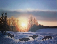 Image of wolves running in winter.